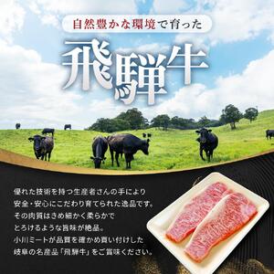 飛騨牛 A5 サーロイン ステーキ用 400ｇ（200g×2枚）｜国産 肉 牛肉 焼肉 ステーキ 和牛 黒毛和牛 グルメ  A5等級 おすすめ AD107【飛騨牛 和牛ブランド 飛騨牛 黒毛和牛 飛騨