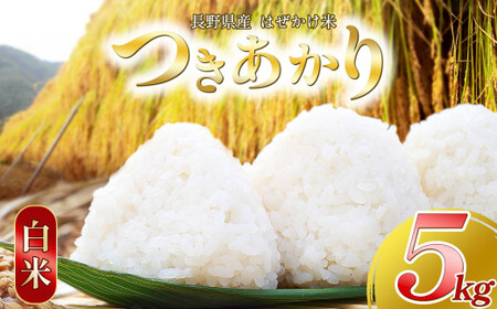 【ありがとう農縁 福島】2025年新米！！ 白米 自然栽培つきあかり5㎏ | 米 つきあかり 白米 精米 お米 栽培期間中無農薬 塩尻市 長野県 信州