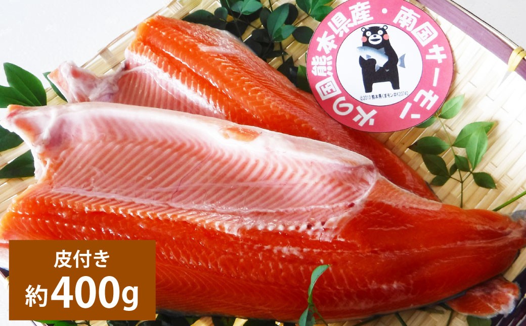 
            南国サーモン 約400g 皮付き 200g×2個 サーモン 鮭 サケ さけ 刺身 焼き鮭 魚 魚介 冷蔵 熊本県 上天草市 【2026年3月上旬～4月下旬迄発送予定】
          