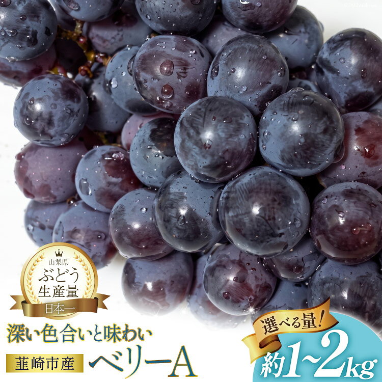 【ふるさと納税】 ぶどう ベリーA 約1kg〜2kg 【2026年発送】 山梨 やまなし 甘い ブドウ 葡萄 マスカット ワインぶどう 果物 フルーツ 種あり 2キロ 1キロ 山梨県産 産地直送 期間限定 季節限定 冷蔵 常温 2026 [フルーツランド平賀 山梨県 韮崎市 20745660]