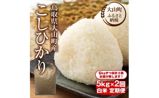 【令和8年10月以降発送新米】MS-99　頒布会（大山町産こしひかり【大山の一粒】白米5ｋｇ×2回）