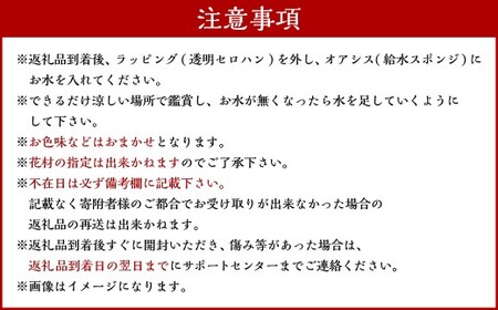 御供用 おまかせ フラワーアレンジメント ／ 大輪菊 小菊 各3本以上 白菊 キク 花 フラワー お供え 初盆 新盆 お彼岸 お悔やみ 法事 冷蔵 長崎県 長崎市