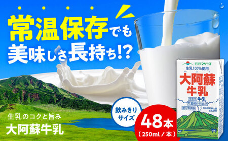 大阿蘇牛乳 ロングライフ 250ml 48本（12本入り×4ケース） 12L 牛乳[AYAC048]