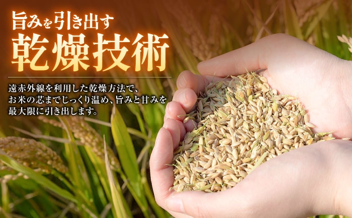 【全6回定期便】 くまさんの輝き 白米 10kg 計60kg