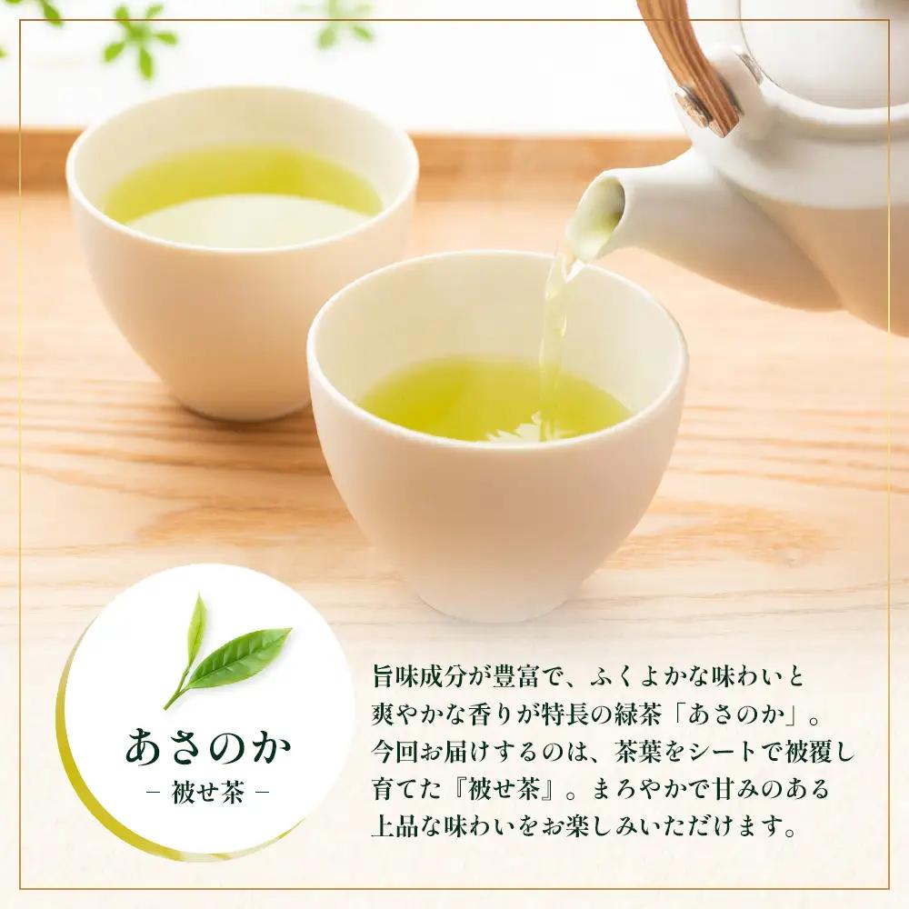 【2026年摘みたて！】ナナ茶 新茶贅沢2種セット 被せ深蒸し茶 さえみどり（80g×1P） ＆ 被せ茶 あさのか（80g×1P）RS-12｜お茶 茶 茶葉 お茶の葉 被せ茶 玉露仕立て 緑茶 高級緑