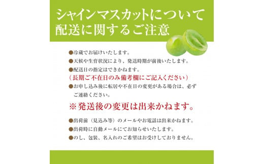 ハウス栽培で旬の味を一足早くお届け！【2025年７月下旬から発送】山梨県産シャインマスカット ２kg（２～４房程度）丹澤農園[5839-1180]