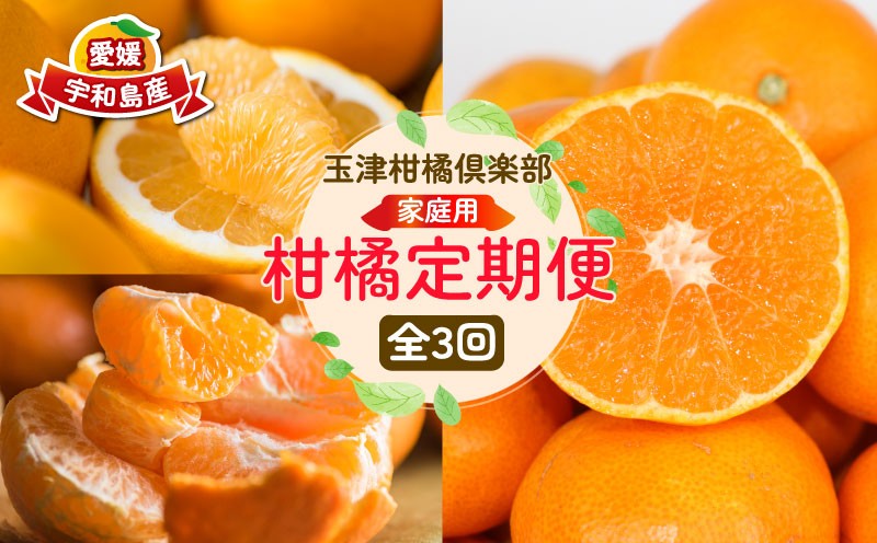 
                  みかん定期便 柑橘定期便 全 3回 家庭用 早生 温州みかん ぽんかん 河内晩柑 玉津柑橘倶楽部 先行予約 【定期便】 サイズ 不揃い ポンカン 果実 果物 くだもの フルーツ 柑橘 愛媛蜜柑 愛媛みかん mikan 産地直送 数量限定 国産 愛媛 宇和島 B030-072048
                