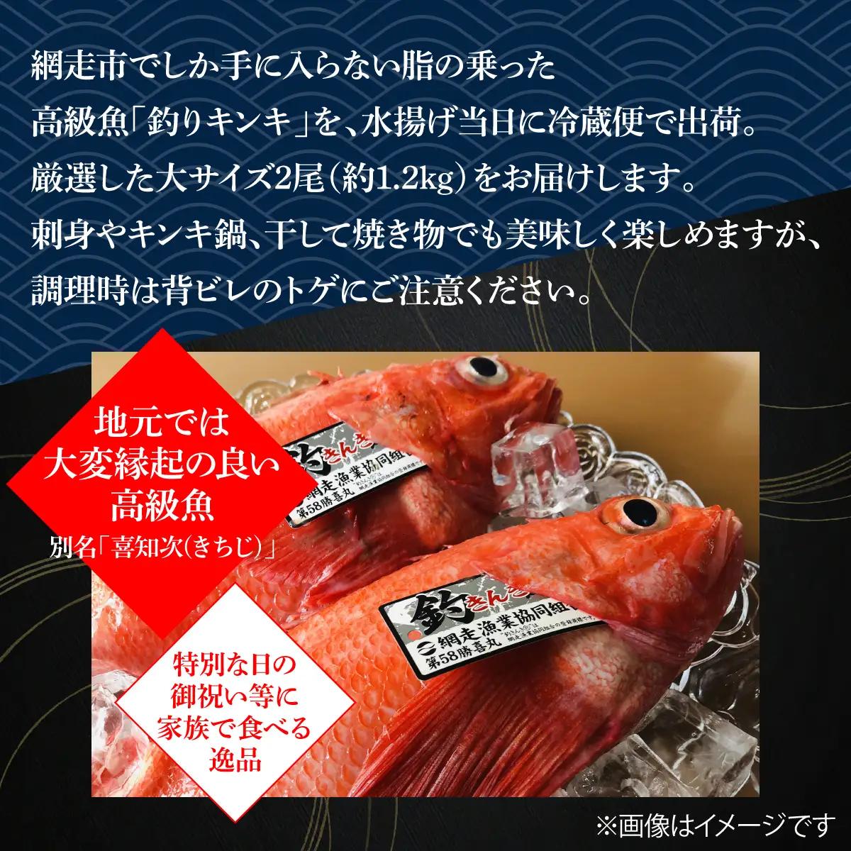 【先行予約】【冷蔵届け】網走産釣きんき【2尾で約1.2kg】（2026年4月中旬頃～11月下旬頃発送） ABAO074