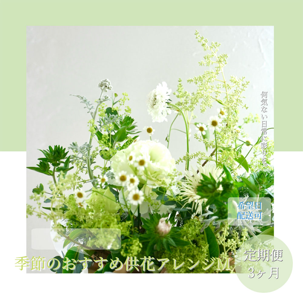 【CF-R5cbs】t172tmf　《3ヵ月定期便》生花アレンジ お供え 供花M 定期便 定期コース 全3回 フラワーアレンジメント そのまま飾れる お供え 花束 生花 仏花 供花 花束 はな 花 法要 お盆 季節のお花 供花 お供え<br>