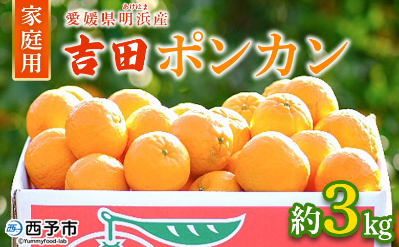 ＜吉田ポンカン 家庭用 約3kg＞ 果物 くだもの フルーツ みかん ミカン 柑橘 吉田ぽんかん よしだぽんかん ヨシダポンカン ぽんかん 訳あり ご自宅用 特産品 株式会社笑丸 愛媛県 西予市 約３