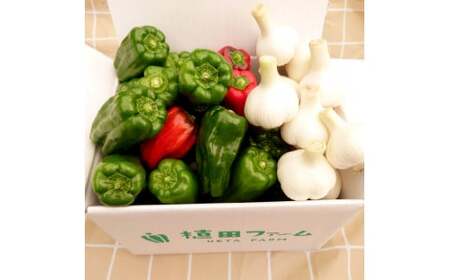 【先行予約】乾燥にんにく＆ハッピーマンセット 約1キロ 約1kg 〈2026年6月15日～発送〉 ニンニク 自然乾燥にんにく ピーマン 野菜 やさい おかず 副菜 お弁当 新鮮 おいしい 採れたて 国