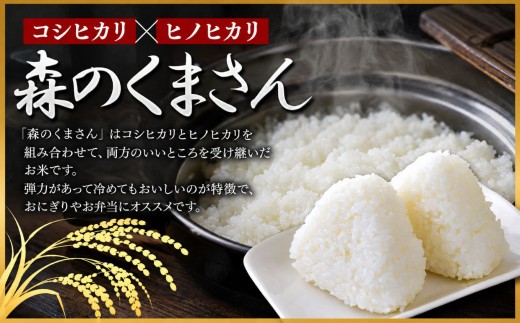 【選べる ごはんのお供セット】 森のくまさん 5kg ＋ 海苔 全型 20枚｜  米 こめ コメ 単一米 精米 海藻 海苔 のり 焼き海苔 有明海 熊本県 玉名市 くまもと たまな