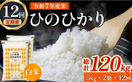 【定期便 全12回】【令和7年産米】ヒノヒカリ 10kg×12回（お米 米 ひのひかり 令和7年産 国産 人気 お弁当 定期便 宮崎県 小林市）