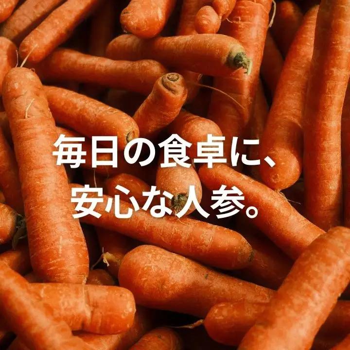 人参 2kg 人参