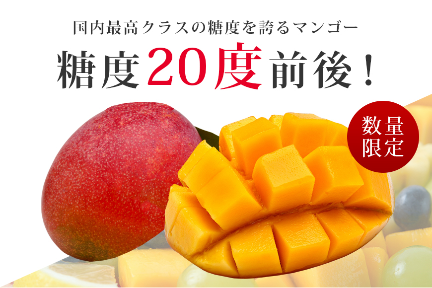 【数量限定・期間限定】 『グッド！モーニング』で紹介 おみたんマンゴー （LL×1個またはM×2個）糖度18～20度 完熟 マンゴー 国産フルーツ 果物 くだもの 【8月末まで順次発送予定】 19-D