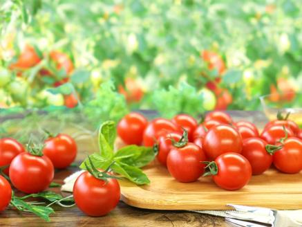 【霧のトマト】 霧で育てたおいしさ抜群の味＋機能性表示食品GABA ミニトマト300ｇ×12パック　27-6