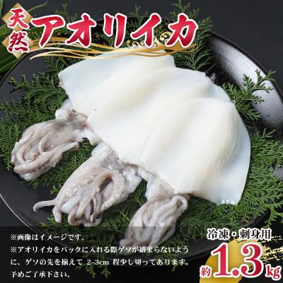 ふるさと納税 美浜町 新鮮で便利!旬のアオリイカ　刺身用開き大3枚　約1.3kg(冷凍)