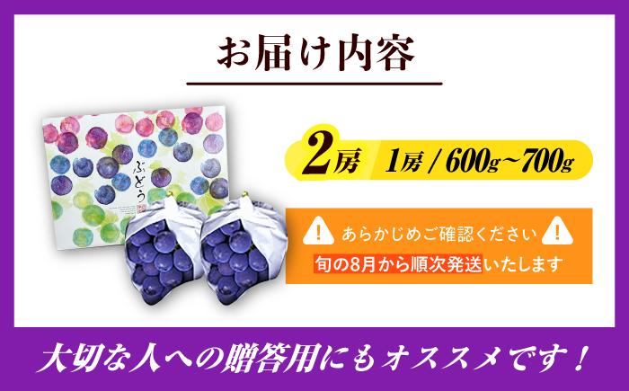 【先行予約・9月より順次発送】 ピオーネ 1箱（600～700g×2房） 日田市 / JAおおいた　 [AREW004]