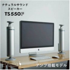 Egretta(エグレッタ)デスクトップサイズ全方位スピーカーTS550F 訳あり