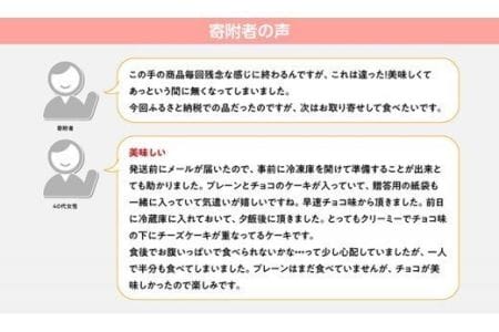 【定期便6回コース】とろける生チーズケーキ（プレーン・チョコ）+メロンパン【スイーツ ケーキ チーズケーキ プレーン チョコ 洋菓子ケーキ スプーンでケーキ  おまけつきケーキ 全6回】