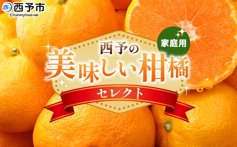 
                  ＜西予の美味しい柑橘セレクト（ご家庭用）＞ 果物 くだもの フルーツ 蜜柑 みかん ミカン 柑橘 ご家庭用 温州みかん 食べて応援 国産 愛媛県産 特産品 西予みかん倶楽部 愛媛県 西予市【常温】
                