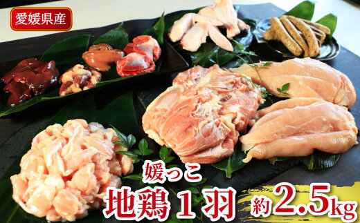 【ふるさと納税】 地鶏 愛媛 媛っこ地鶏 1羽セット 約2.5kg 鶏肉 鳥肉 肉 チキン むね肉 もも肉 ささみ レバー せせり ハツ 砂肝 焼肉 焼き鳥 BBQ 冷凍 国産 高級 タンパク質 低脂肪 糖質 唐揚げ チキン南蛮 サラダチキン スープ ダイエット 愛南町 ローカルスタンダード