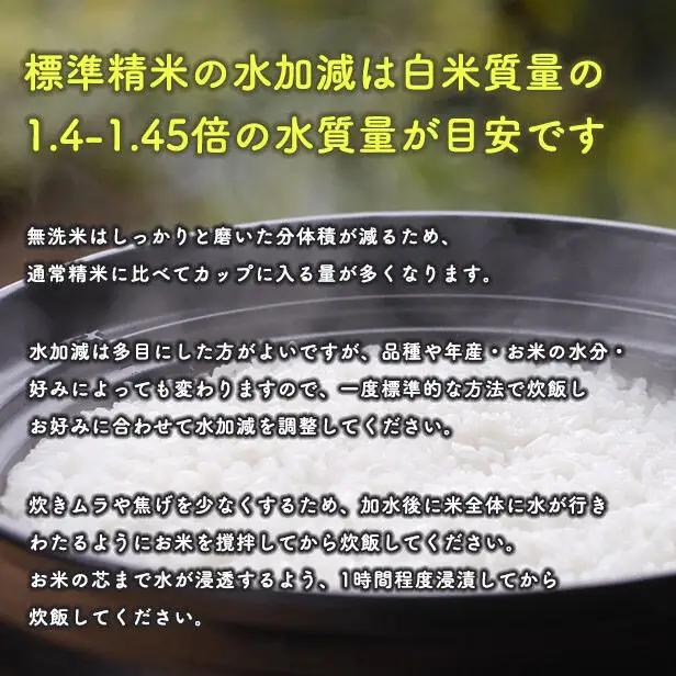 【無洗米】備蓄米 あきたこまち 20kg(2.5kg×8袋) 秋田県産 令和7年産  こまちライン 災害時 緊急時の備えに 秋田県 大仙市産