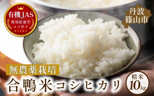 合鴨米 有機JAS認定 無農薬 栽培 コシヒカリ精米 10kg ( 5kg × 2）│兵庫県 丹波篠山 お米 米 コメ こめ こしひかり 安全・安心 有機栽培 無農薬 有機 JAS 農家直送 あいがも 合鴨農法