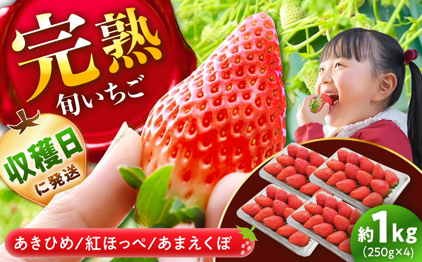 【先行予約】【2027年1月上旬より順次発送】 いちご 250g×4パック / いちご 苺 イチゴ 国産 / 恵那市 / 阿部農園 [AUGA003]