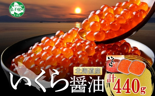 
                  3700. いくら醤油漬け 220g×2個 いくら醤油 イクラ しょうゆ漬け いくら イクラ 醤油 海鮮 魚介 いくら丼 鮭 魚卵 贈答 ギフト 送料無料 北海道 弟子屈町
                