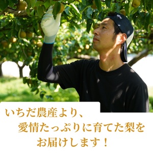 【数量限定】梨(南水)5kg＜9月下旬より順次発送＞
