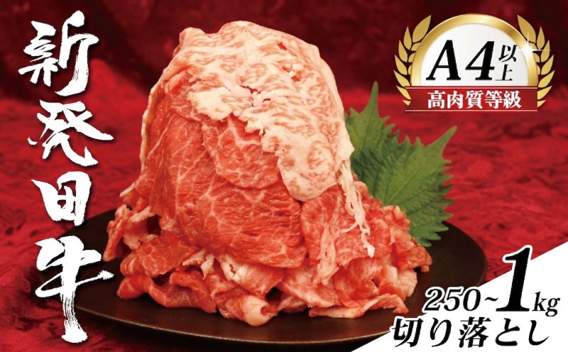 
                  【新潟の宝】牛肉 切り落とし 250g 500g 1kg 肉 和牛 霜降り ブランド牛 新発田牛 にいがた和牛 しゃぶしゃぶ 小分け 小間切れ 新潟県 新発田市 新潟 新発田 えのもとミート enomoto001P
                