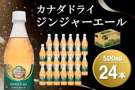 カナダドライジンジャーエール 500mlPET×24本(1ケース)【コカコーラ ジンジャエール カナダドライ 炭酸 飲料 ペットボトル 常備 保存 買い置き 水分補給 500ml 24本 1ケース】 Z3-F047007