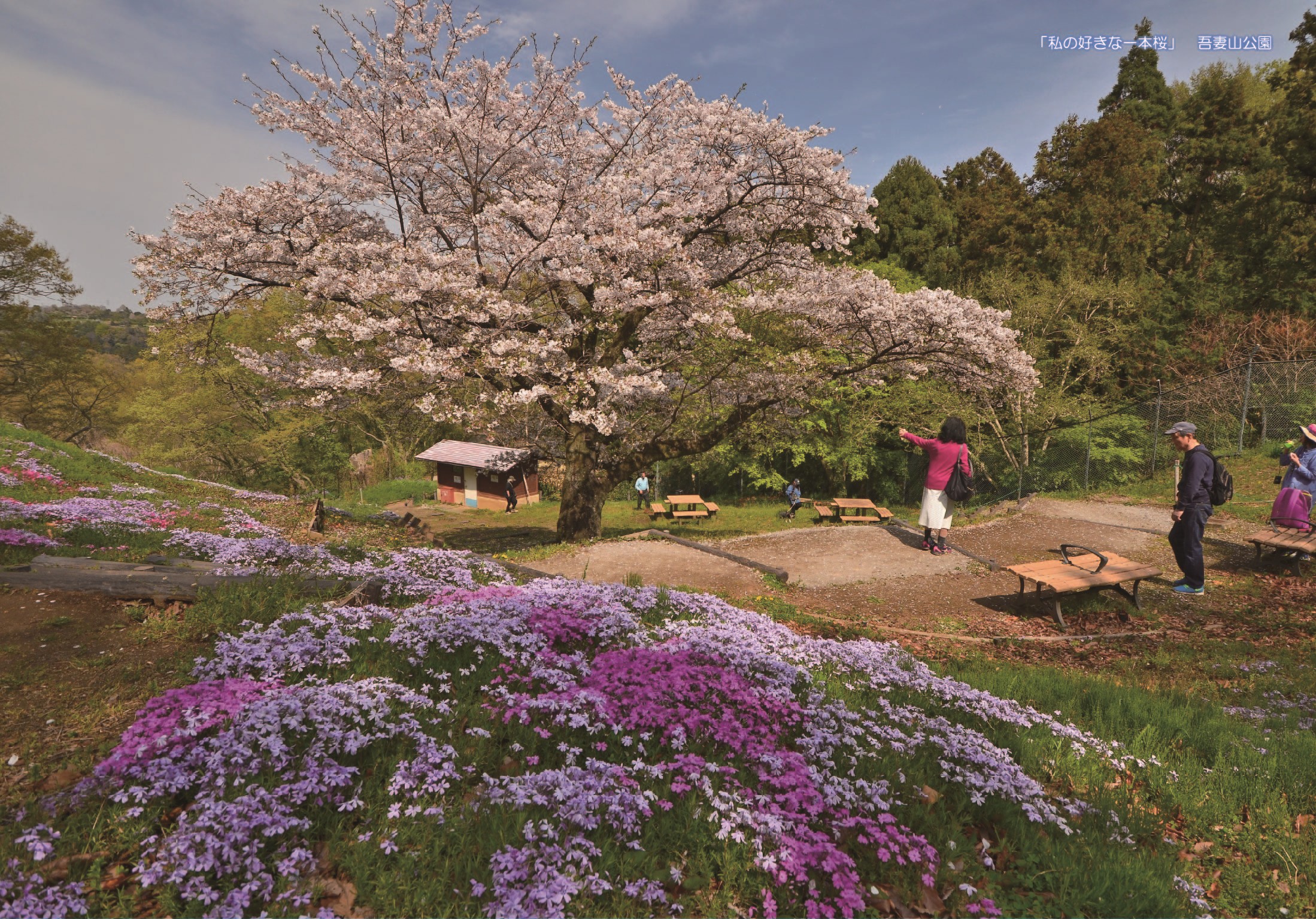 No.080 にのみや観光カレンダー