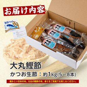 生節 かつおなまり節 プレーン約1kg 本数5～8本 大丸鰹節 IB124-005 かつお 鰹