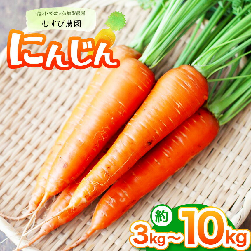 【ふるさと納税】【選べる】信州・むすび農園の人参 約3kg 約5kg 約10kg | 農薬不使用 化学肥料不使用 植物性肥料 自然 新鮮 旬の野菜 野菜 やさい 人参 にんじん ヘルシー 健康 長野県 松本市