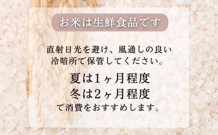無洗米 秋田県産 あきたこまち  5kg (5kg×1袋)[令和6年産]【 お米 ご飯 ブランド米 銘柄米 】