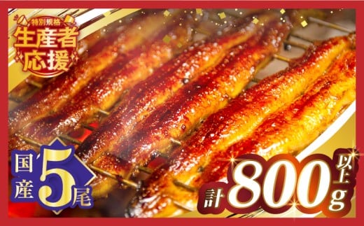 【令和8年2月発送】【数量・期間限定 特別規格】うなぎ蒲焼5尾(さんしょう・たれ付き)計800g以上 鰻 魚 魚介 加工品 国産_T026-0032-02