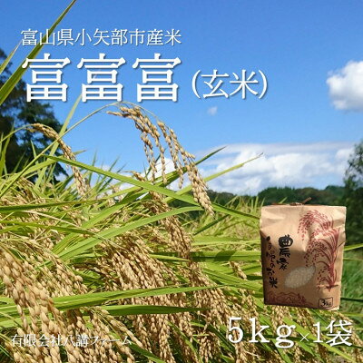 【ふるさと納税】【新米先行予約(2026年10月上旬から順次発送)】令和8年産米「富富富」(玄米)5kg～【G1656107】