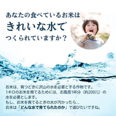 ふるさと納税 茅野市 霧ヶ峰の水が育んだお米(レンジアップごはん)20個 |  | 01