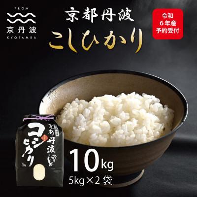 ふるさと納税 京丹波町 京丹波こしひかり 10kg 令和7年産 京都 米 精米 コシヒカリ