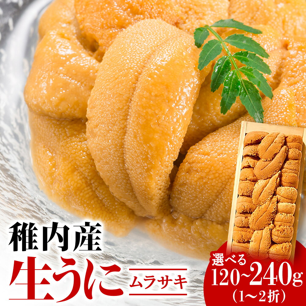 【ふるさと納税】【厳選品】生ムラサキウニ木箱入り120g～240gムラサキウニ 天然 うに むらさきうに 生うに 折詰 海鮮 海産物 北海道ふるさと納税 稚内 ふるさと納税 北海道 【配送不可地域：離島・沖縄県】