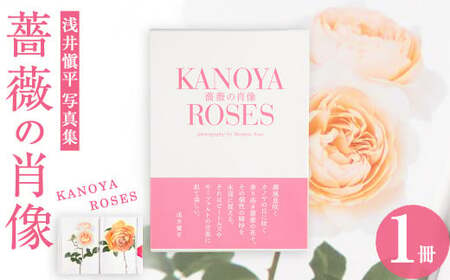 浅井愼平写真集　薔薇の肖像　KANOYA ROSES 1031