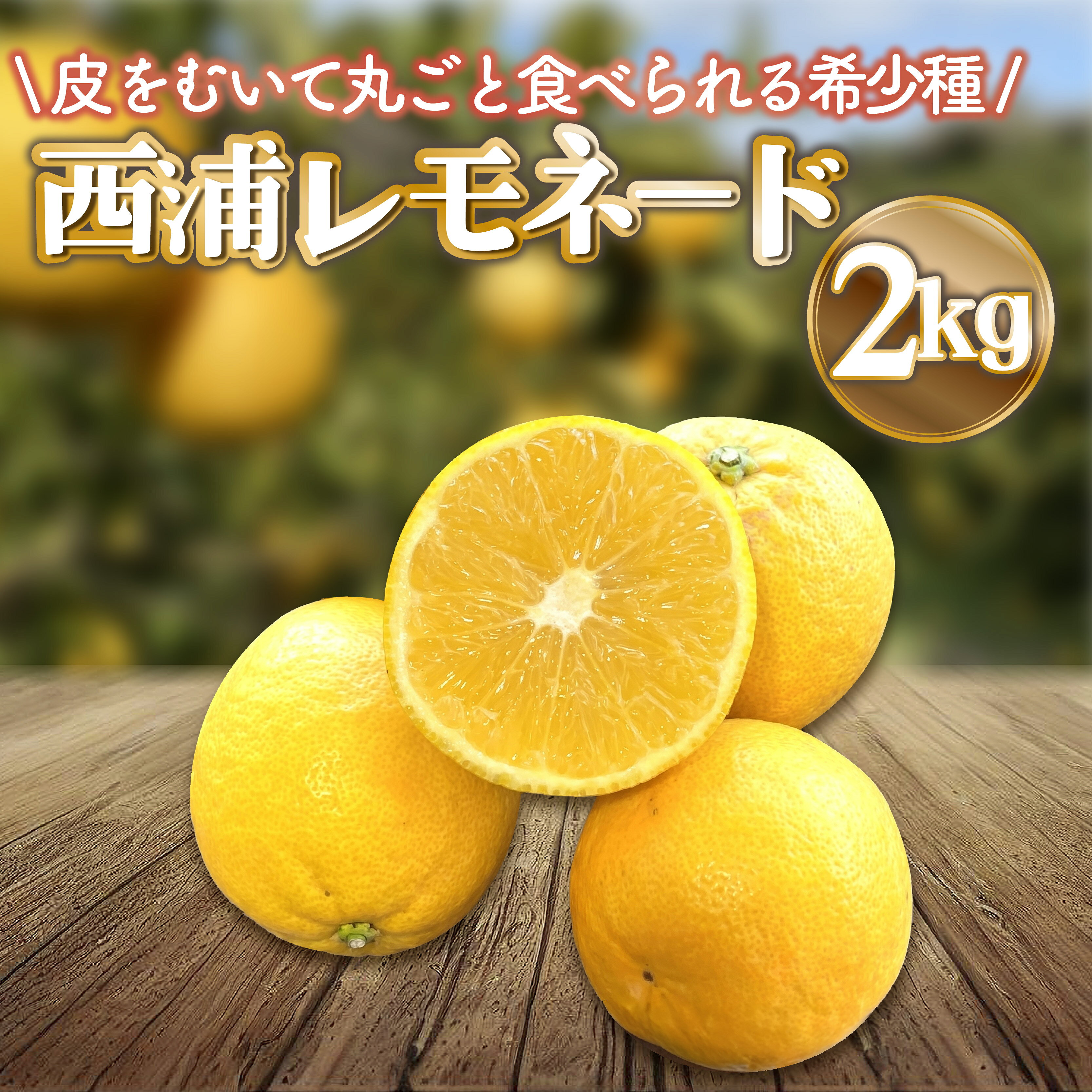 【ふるさと納税】 レモネード 約 2kg 産地直送 檸檬 柑橘 レモン フルーツ 果物 蜜柑 ご家庭用 贈答用 ギフト 沼津 静岡 みかん畑 リブロ
