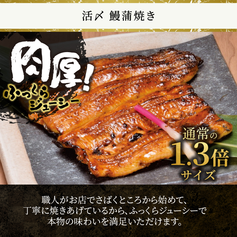 冷凍 活〆 鰻蒲焼き2人前・とろろ汁1個・自然薯100％とろろ汁1個セット [sf095-003]