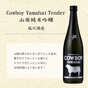 日本酒　塩川酒造のみくらべセット