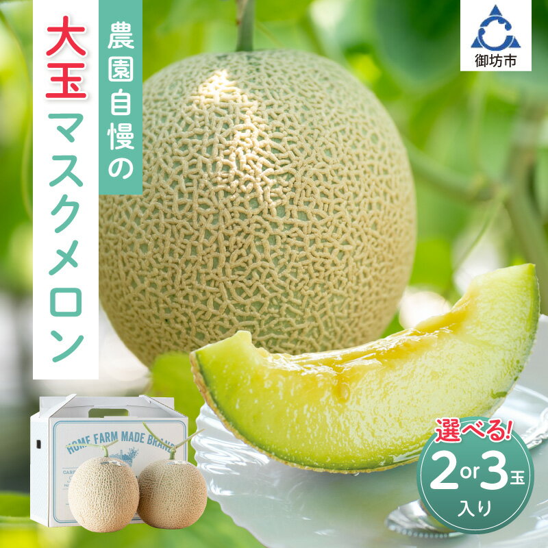 農園自慢の『マスクメロン』(アールスメロン)大玉×2玉入り