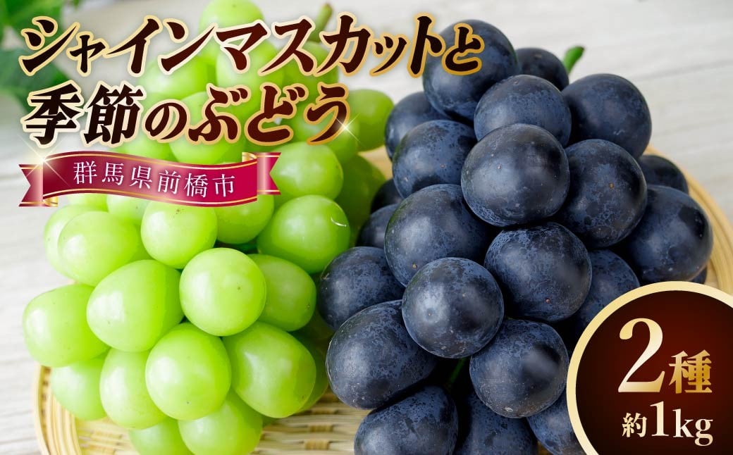 
            【2026 先行予約】シャインマスカットと季節のぶどう2種箱  合計2房 約1kg 農家直送品 | 朝採れ シャインマスカット 巨峰 贈答 新鮮 旬 高級 産地直送 果汁 人気 高評価 プレゼント ぶどう フルーツ 群馬県 前橋市 
          