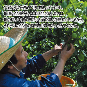 梅酒 飲み比べ 3本セット ミニボトル 美郷露茜 美郷月世界 美郷竜峡 200ml 各1本 梅酒