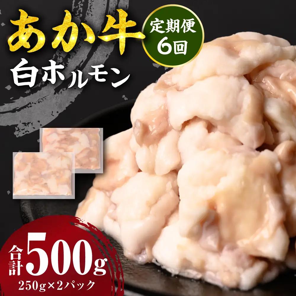 【定期便6回】 あか牛 白ホルモン 500g 250g×2パック